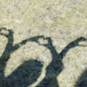 Meet your Posher, Avery